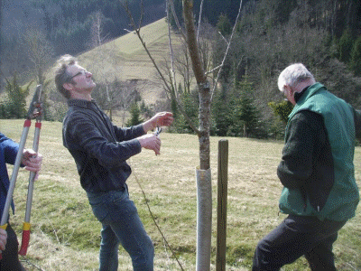 Baumschnittkurs 2012