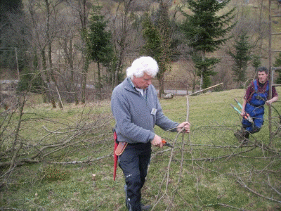 Baumschnittkurs 2012