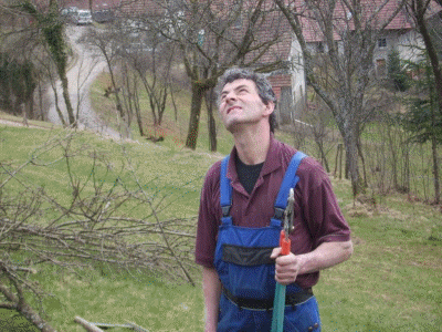 Baumschnittkurs 2012