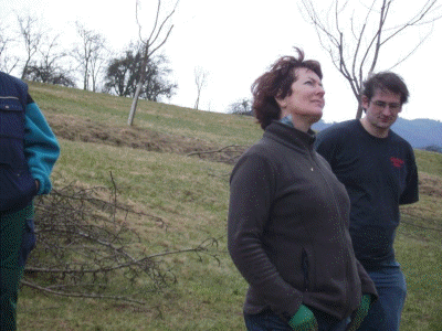 Baumschnittkurs 2012