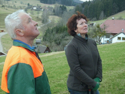 Baumschnittkurs 2012